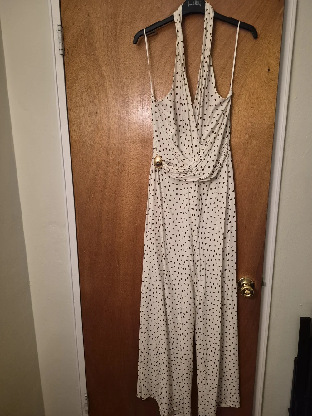 Zara Polka Dot Sleeveless Maxi Jumpsuit - Picture 1 of 2